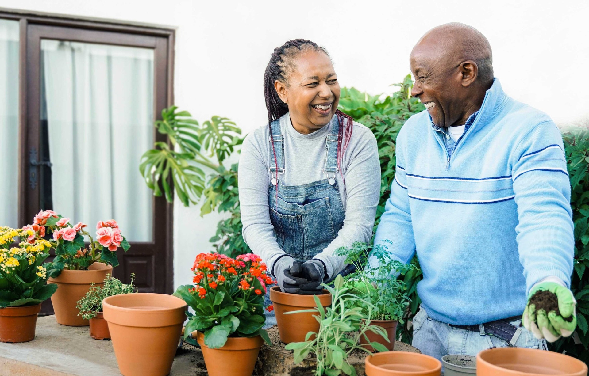 A couple potting plants together.